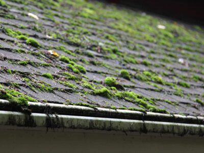 Fakesville roof moss remover