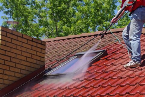 Roof Cleaning & Coating Fakesville