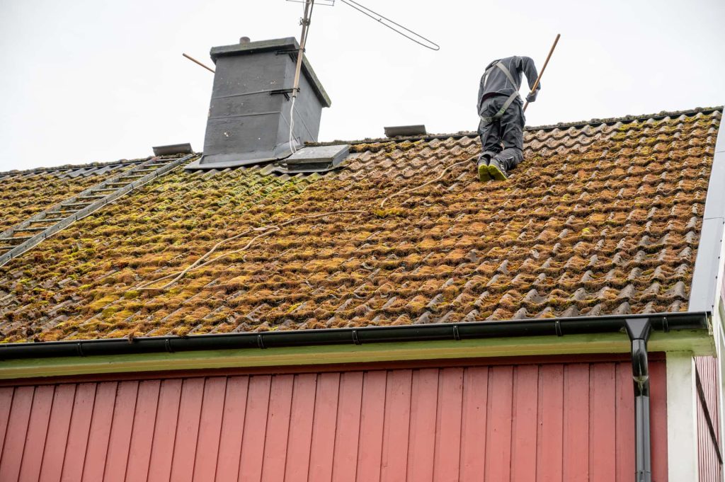 Roof moss removal Fakesville