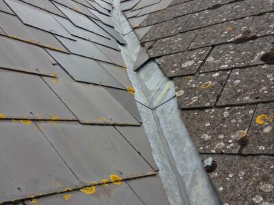 Fakesville roof moss removal